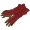 Rose Gloves, Ruby With Olive Palm, Size Small By West County
