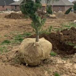 Sisal Twine, 1-Ply, 10lb Ball (Approximately 3,000ft) -Amleos 110st 5