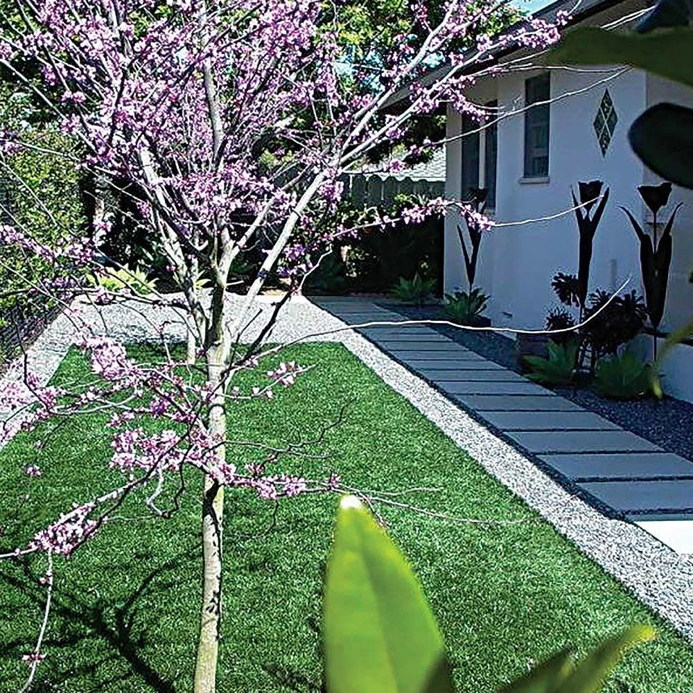 Permaloc® PermaStrip™ L-Shaped Aluminum Lawn Edging With Solid Base - Mill Finish 5 Permaloc® PermaStrip™ L-Shaped Aluminum Lawn Edging With Solid Base - Mill Finish - Image 3