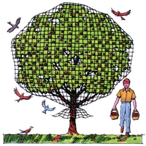 Polypropylene Bird Control Netting, 14ft X 14ft, 3/4in Square Mesh By Tenax 4 Polypropylene Bird Control Netting, 14ft X 14ft, 3/4in Square Mesh By Tenax - Image 2