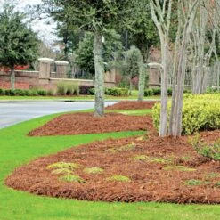 CleanStraw Premium Pine Straw Pallet Of 40 Bags -Amleos 2001 40 live resort2