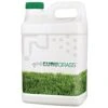 GURUgrass™ Premium Grass Colorant - 1 Gallon -Amleos 20102 ol