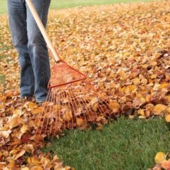 Bulk Pack Of 6Rakes - Forestry Rakes With 22-Tine Steel Head By A.M. Leonard -Amleos 228f 4 1