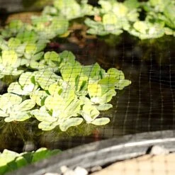 Polypropylene Bird Control Netting, 28ft X 28ft, 3/4in Square Mesh By Tenax -Amleos 288pn