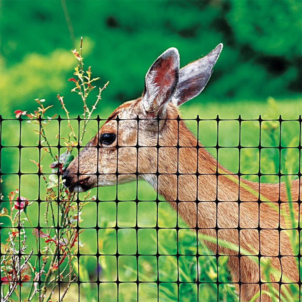 Polypropylene Bird Control Netting, 7ft X 100ft, 3/4in Square Mesh By Tenax 4 Polypropylene Bird Control Netting, 7ft X 100ft, 3/4in Square Mesh By Tenax - Image 2