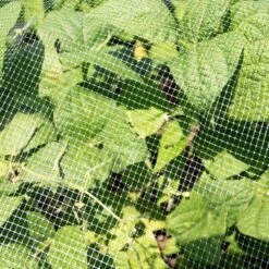 Insect Net 7ft X 100ft By Tenax -Amleos 2a2374am 1