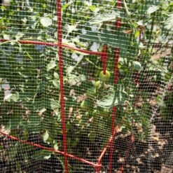 Insect Net 7ft X 100ft By Tenax -Amleos 2a2374am 2