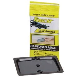 Tomcat Glue Boards, Pack Of 12 Boards By Motomco