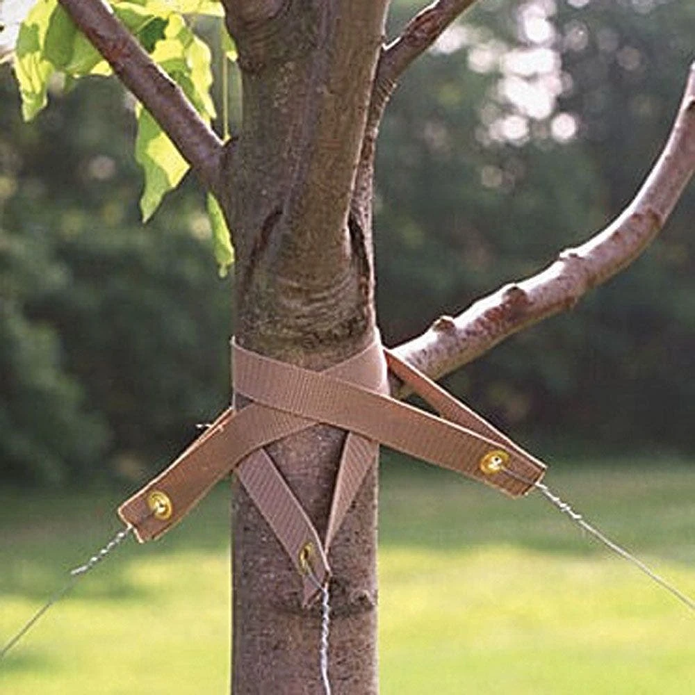 Treestrap Biodegradable Tree Straps, 1in Width X 18in Length, Pack Of 50 Straps By Greenworks 4 Treestrap Biodegradable Tree Straps, 1in Width X 18in Length, Pack Of 50 Straps By Greenworks - Image 2