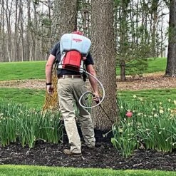 Solo 417-LI Battery Operated Backpack Sprayer 4.5 Gallon -Amleos 417li live