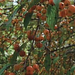 Polypropylene Bird Control Netting, 7ft X 100ft, 3/4in Square Mesh By Tenax 8 Polypropylene Bird Control Netting, 7ft X 100ft, 3/4in Square Mesh By Tenax -Amleos 725pn 2