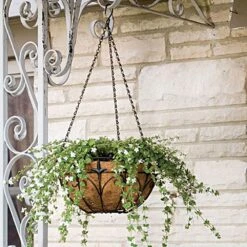 Wire Hanging Basket Fleur De Lis Coco Liner And Chain 14in Diam -Amleos 88512 2
