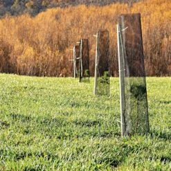 Leonard Trunk Shield Protectors, 25 Per Bundle, 36in X 19in 10 Leonard Trunk Shield Protectors, 25 Per Bundle, 36in X 19in -Amleos ag3619 live horz3 3