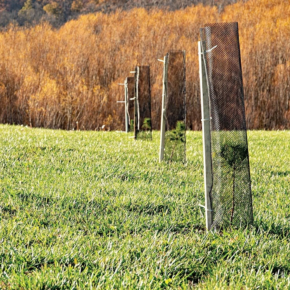 Leonard Trunk Shield Protectors, 25 Per Bundle, 36in X 19in 6 Leonard Trunk Shield Protectors, 25 Per Bundle, 36in X 19in - Image 4
