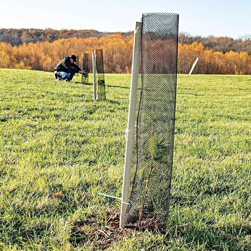 Leonard Trunk Shield Protectors, 25 Per Bundle, 36in X 19in 7 Leonard Trunk Shield Protectors, 25 Per Bundle, 36in X 19in - Image 5