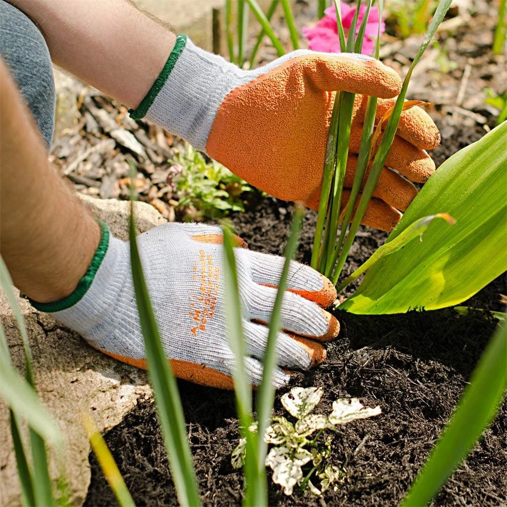 Latex-Coated Work Gloves, Size Small By A.M. Leonard 4 Latex-Coated Work Gloves, Size Small By A.M. Leonard - Image 2