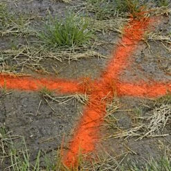 Survey Marking Paint, Orange, 17oz Can By Aervoe -Amleos amp 5o live