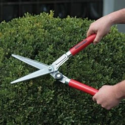 Berger Compact Precision Topiary Shear With Wooden Handles 10 Berger Compact Precision Topiary Shear With Wooden Handles -Amleos b2510 live