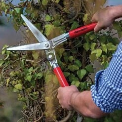 Berger Compact Precision Topiary Shear With Wooden Handles 9 Berger Compact Precision Topiary Shear With Wooden Handles -Amleos b2510 live2