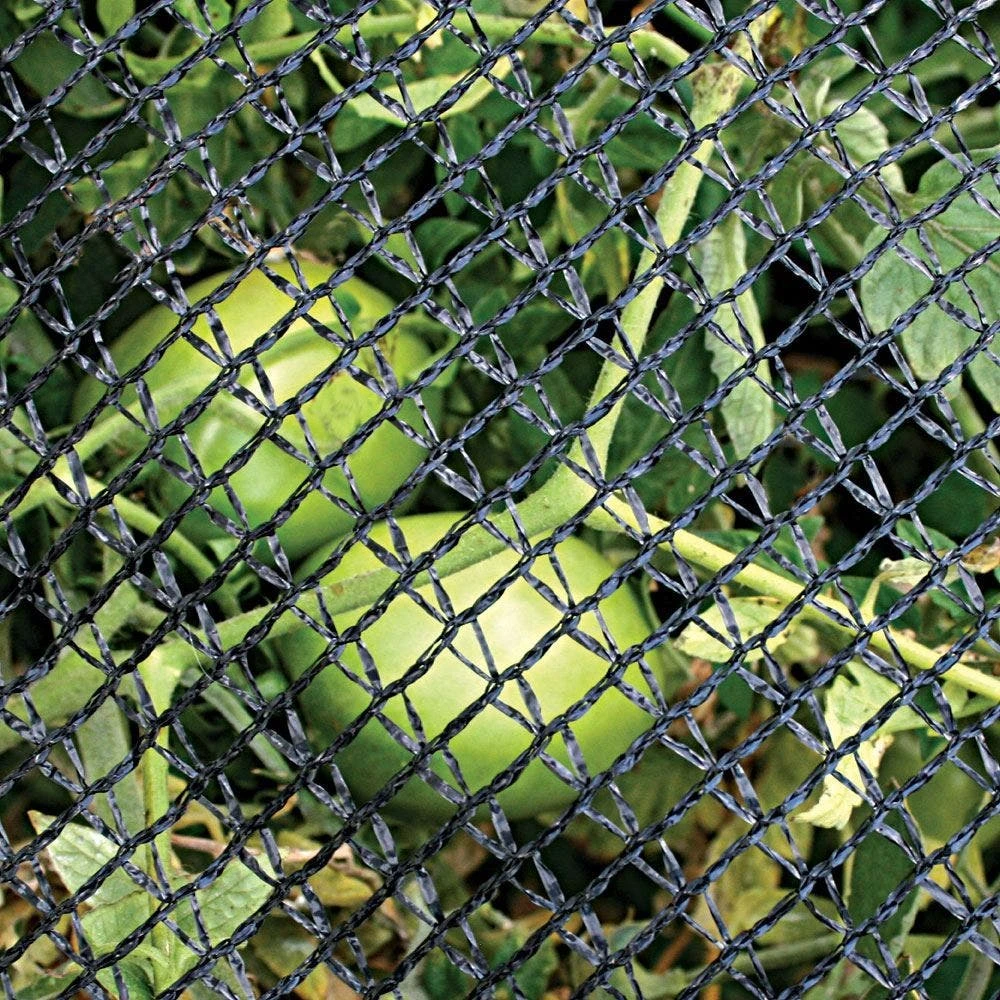 Deluxe Bird Barricade, 14ft X 14ft By DeWitt 4 Deluxe Bird Barricade, 14ft X 14ft By DeWitt - Image 2