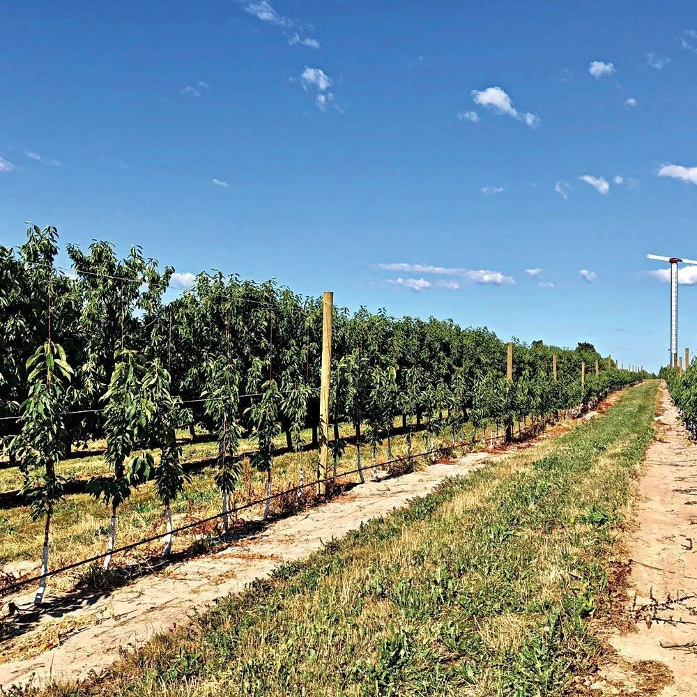 DuraLine 2-1/2-Millimeter Monofilament Trellis Line, 1,000 Feet 7 DuraLine 2-1/2-Millimeter Monofilament Trellis Line, 1,000 Feet - Image 5