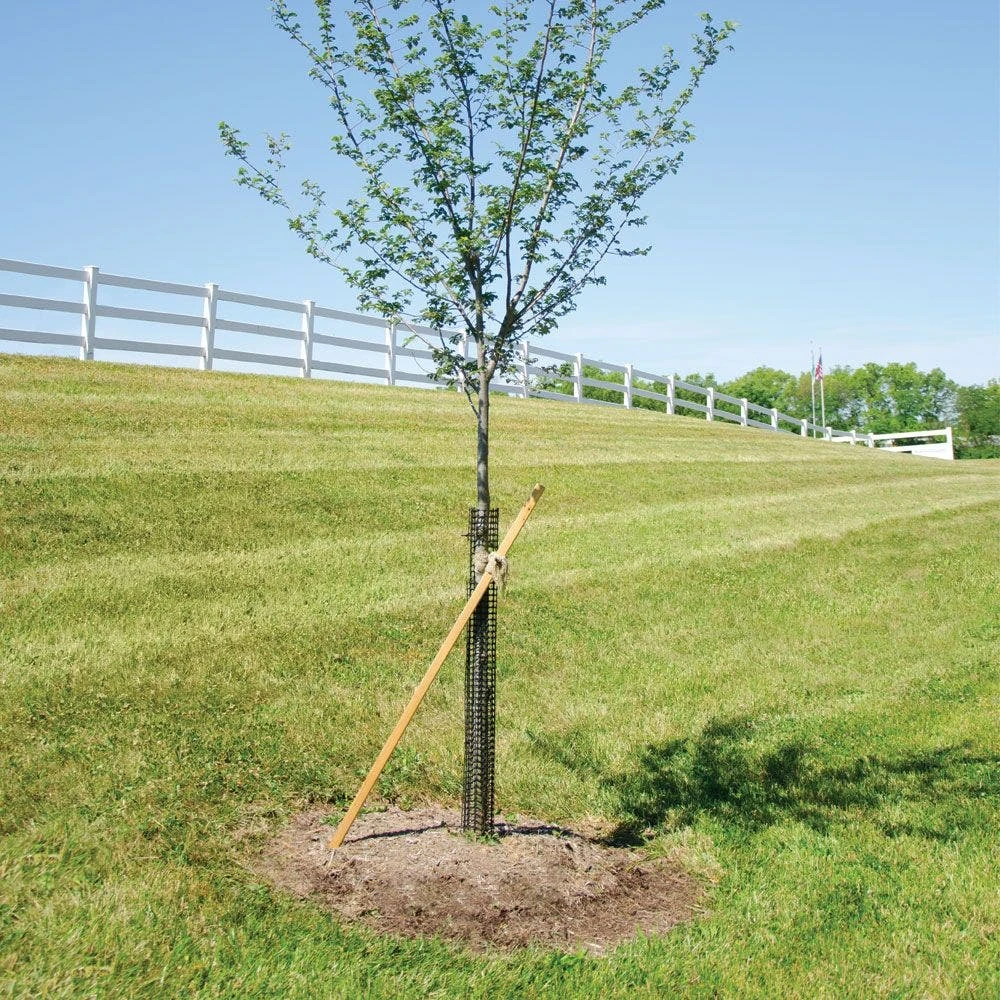 Commercial Plastic Mesh Tree Guards, 4in Diameter, 36in Length, Bundle Of 5 By A.M. Leonard 4 Commercial Plastic Mesh Tree Guards, 4in Diameter, 36in Length, Bundle Of 5 By A.M. Leonard - Image 2