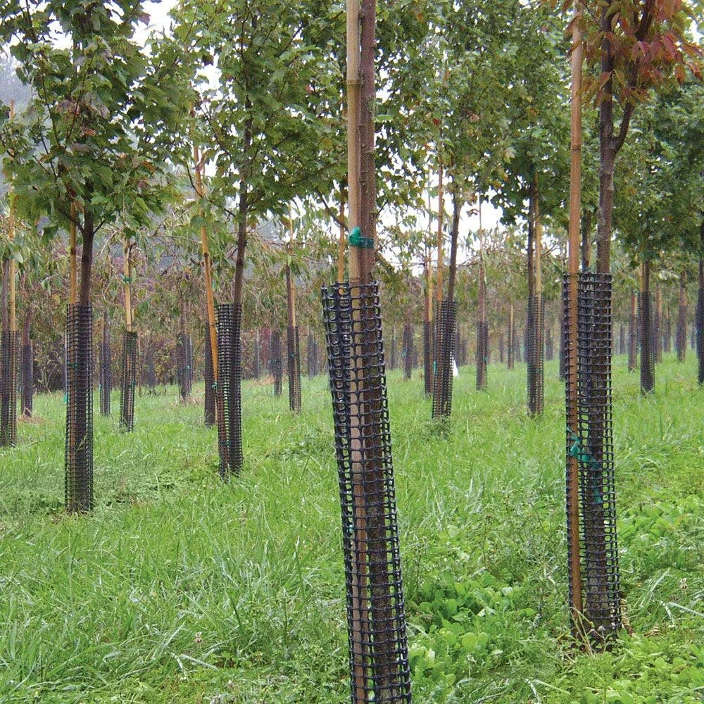 Commercial Plastic Mesh Tree Guards, 4in Diameter, 36in Length, Bundle Of 5 By A.M. Leonard 5 Commercial Plastic Mesh Tree Guards, 4in Diameter, 36in Length, Bundle Of 5 By A.M. Leonard - Image 3
