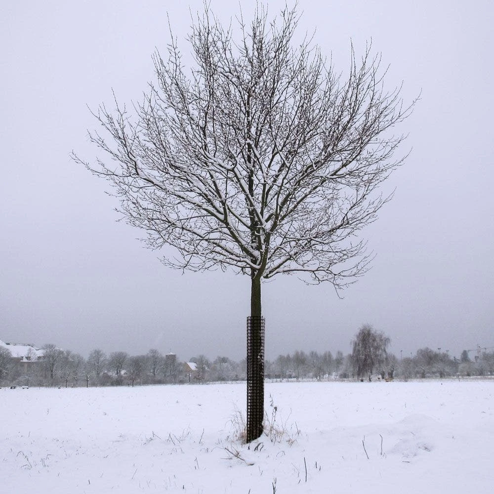 Commercial Plastic Mesh Tree Guards, 4in Diameter, 36in Length, Bundle Of 5 By A.M. Leonard 6 Commercial Plastic Mesh Tree Guards, 4in Diameter, 36in Length, Bundle Of 5 By A.M. Leonard - Image 4