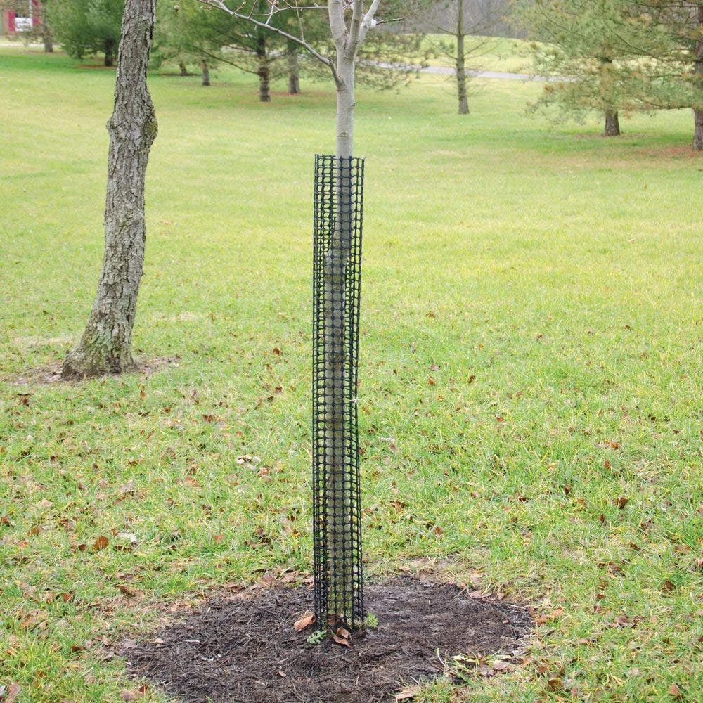Commercial Plastic Mesh Tree Guards, 4in Diameter, 48in Length, Bundle Of 5 By A.M. Leonard 4 Commercial Plastic Mesh Tree Guards, 4in Diameter, 48in Length, Bundle Of 5 By A.M. Leonard - Image 2