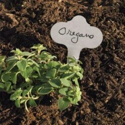 Decorative Plant Marker - Stainless Steel -Amleos bl65 2