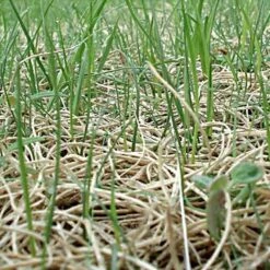 Curlex I Blanket Single Net Up To 2 1 Slope Green 9 Curlex I Blanket Single Net Up To 2 1 Slope Green -Amleos c4101 growth