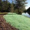 Curlex II Erosion Control Fabric Double Netting, Green, 4ft X 112-1/2ft -Amleos c4101 live