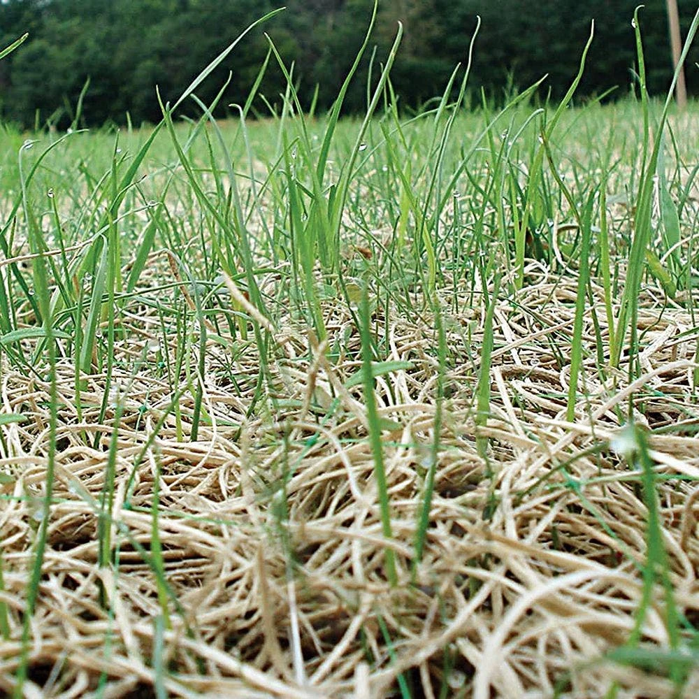 Curlex I Erosion Control Fabric Single Netting Green, 8 Feet X 112-1/2 Feet 5 Curlex I Erosion Control Fabric Single Netting Green, 8 Feet X 112-1/2 Feet - Image 3