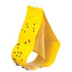 Cucumber Beetle Trap & Lure -Amleos cb3436 2