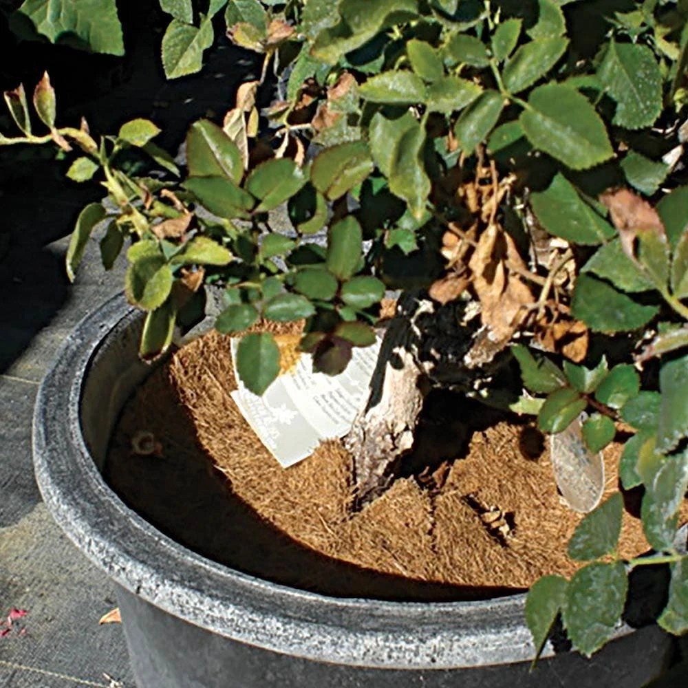 Coco Weed Guards, 44cm Diameter, Case Of 50 7 Coco Weed Guards, 44cm Diameter, Case Of 50 - Image 5