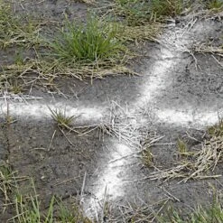 Construction Marking Paint, White, 15oz Can, Case Of 12 Cans By Aervoe 5 Construction Marking Paint, White, 15oz Can, Case Of 12 Cans By Aervoe -Amleos cmp 2w live