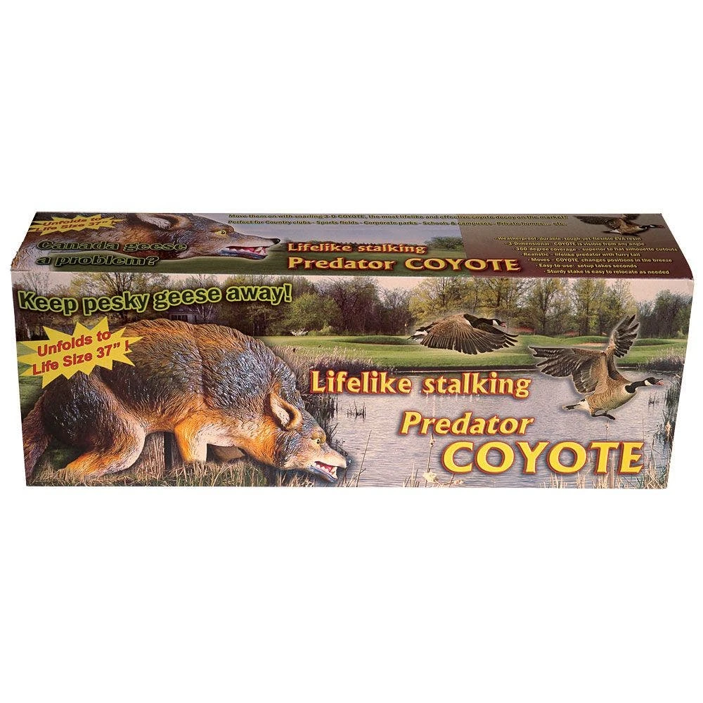 3D Coyote Life-like Goose, Duck And Rabbit Decoy 6 3D Coyote Life-like Goose, Duck And Rabbit Decoy - Image 4