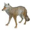 Coyote Decoy By Flambeau Outdoors -Amleos coy4 1