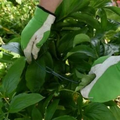 Collapsible Plant Brace 15in Ring With Three 25in Legs -Amleos cpb 3