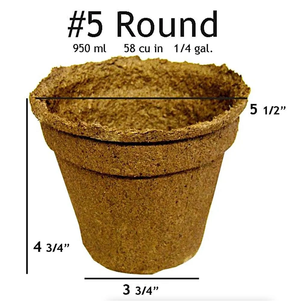 Biodegradable Plant Pots, Trade #5 Round, Case Of 66 Pots By Cowpots 4 Biodegradable Plant Pots, Trade #5 Round, Case Of 66 Pots By Cowpots - Image 2