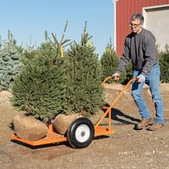 Leonard Flatbed 2-Wheel Nursery Cart, 2ft X 4ft Low Deck, 850 Lb Capacity -Amleos f2448lw 7 1