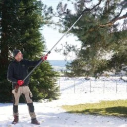 FELCO Telescopic Pole Pruner -Amleos f290 2
