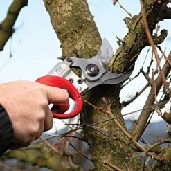 FELCO 822 Electronic Corded Pruning Shear Kit With 3.1Ah Battery 1.8in Cut Capacity -Amleos f822k3 f822k6 live
