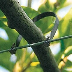 Fruit Tree Tie, 150mm