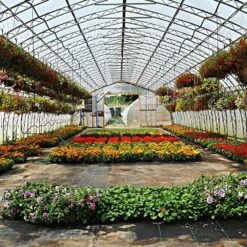 Greenhouse Grow Film, Suncover, White, 4-year, 6mil By Ginegar -Amleos ginegar grow film 2