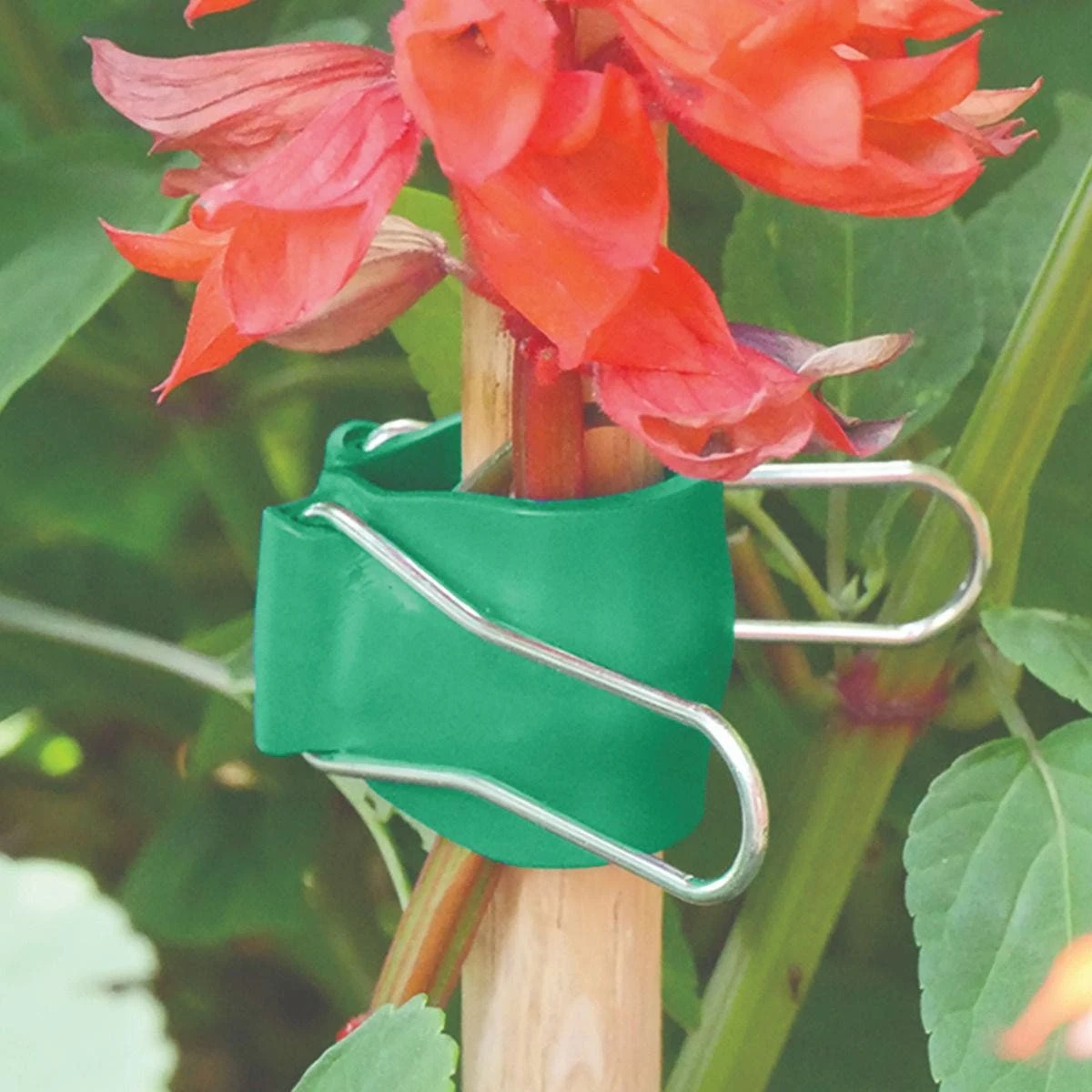 Gadget Klip Multipurpose Plant Clips, Size Medium, Pack Of 12 Clips 5 Gadget Klip Multipurpose Plant Clips, Size Medium, Pack Of 12 Clips - Image 3