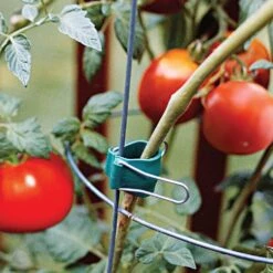 Gadget Klip Multipurpose Plant Clips -Amleos gk12sgge tomato4 1