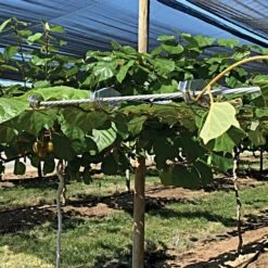 Gripple® Perpendicular Wire Joiners -Amleos gp90 7