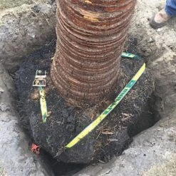 Medium-Duty Root Ball Kit By Gripple® -Amleos gprbk3 1