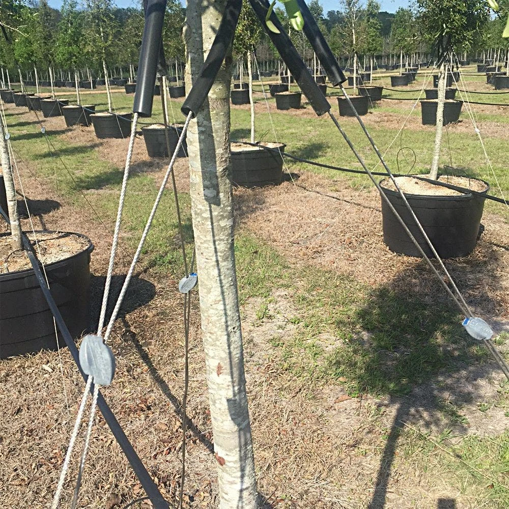 Light-Duty Tree Guying Kit By Gripple® 6 Light-Duty Tree Guying Kit By Gripple® - Image 4